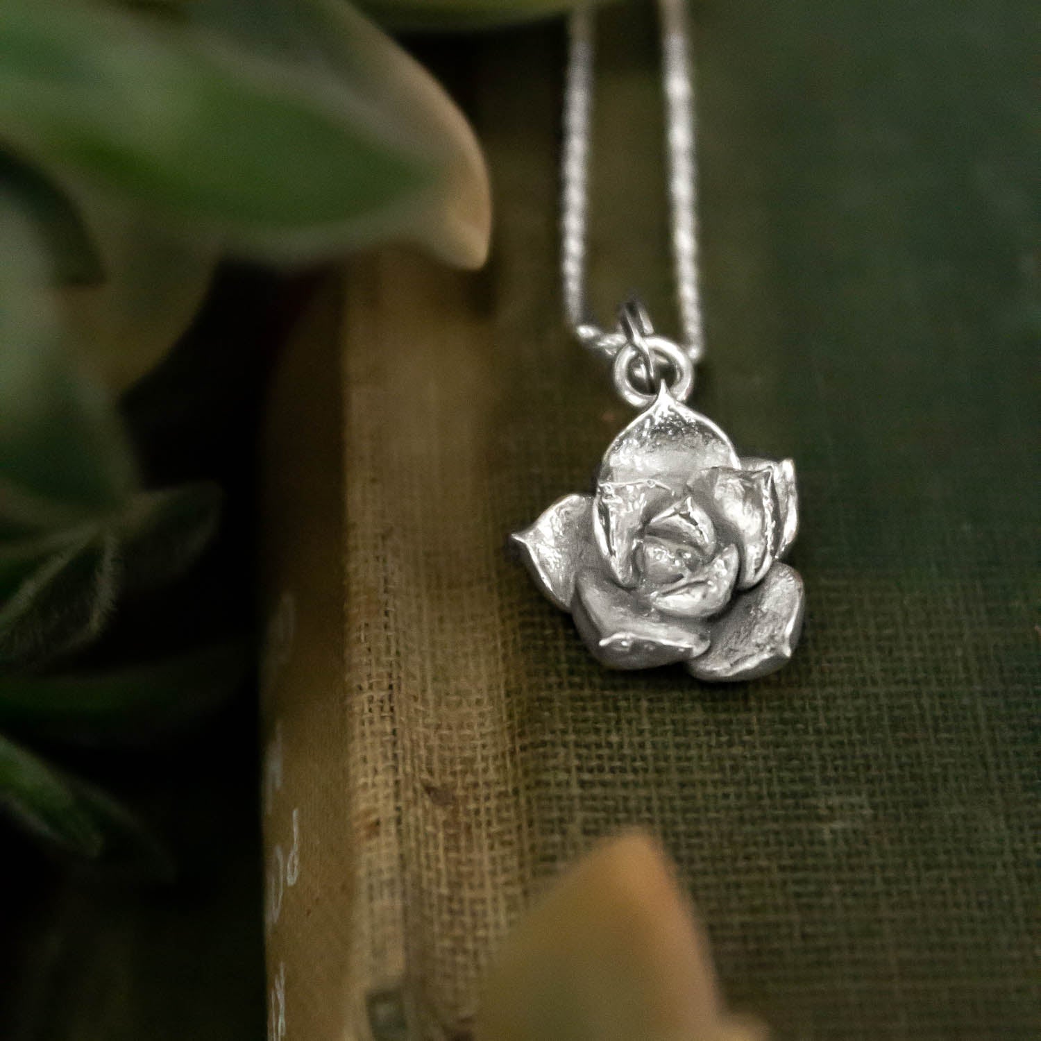 Colgante Suculenta fractal Grande