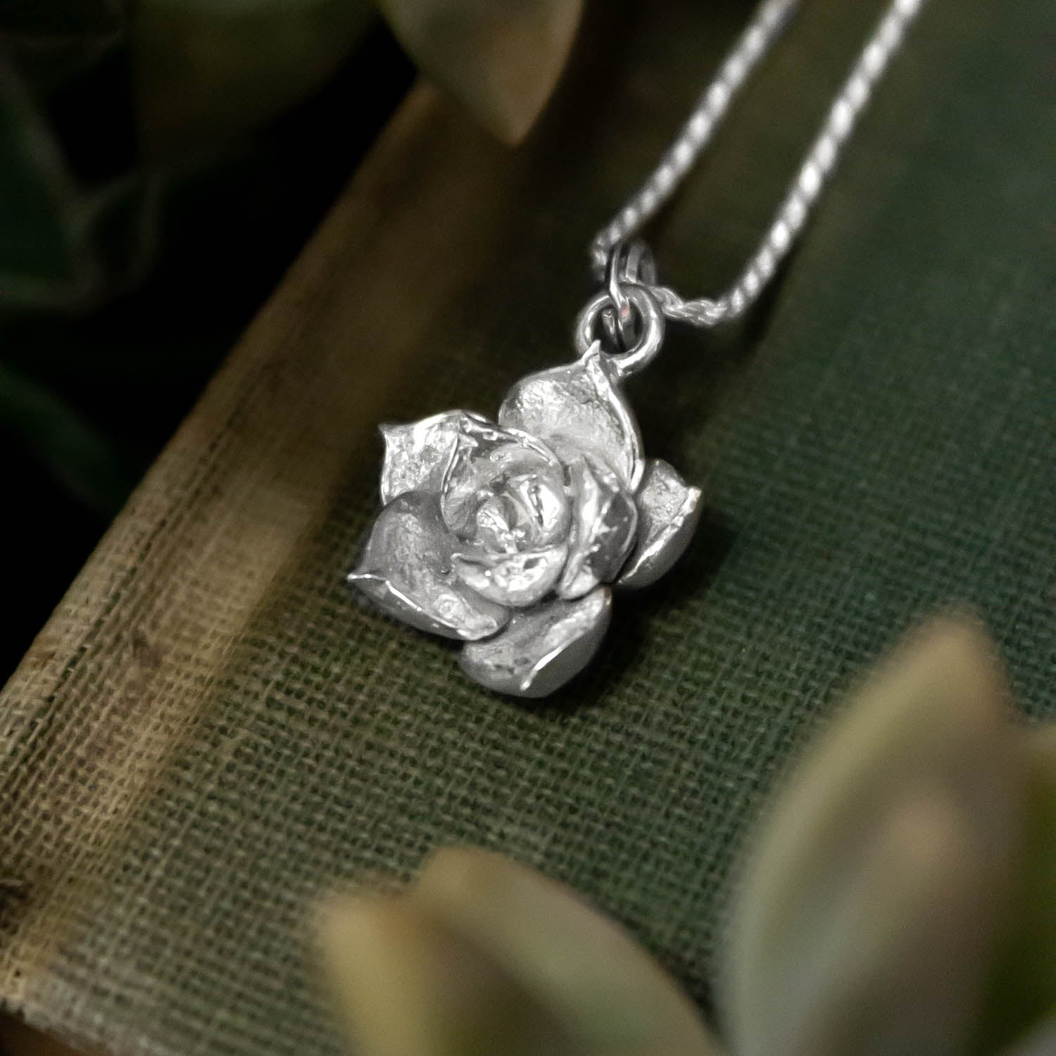 Colgante Suculenta fractal Grande