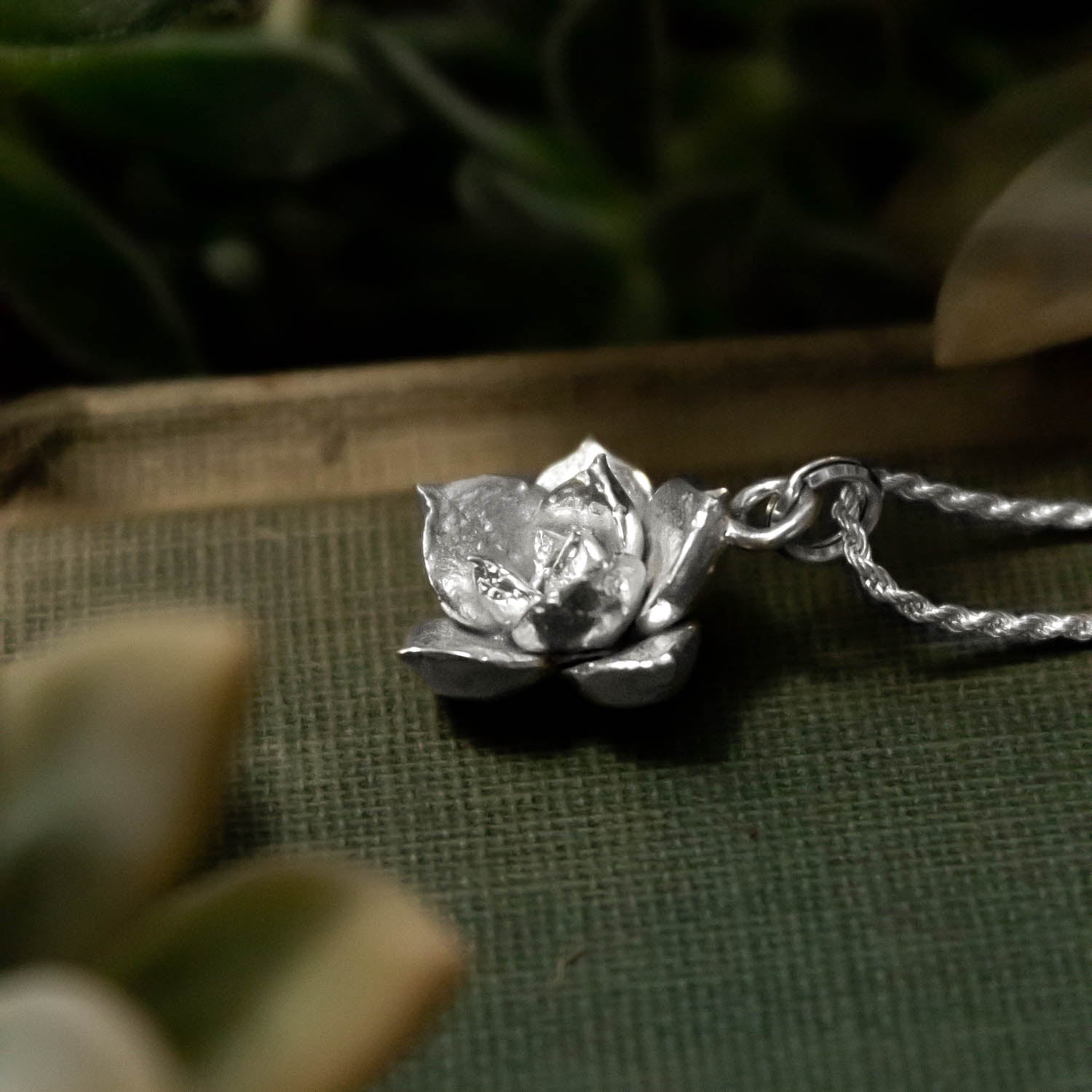 Colgante Suculenta fractal Grande