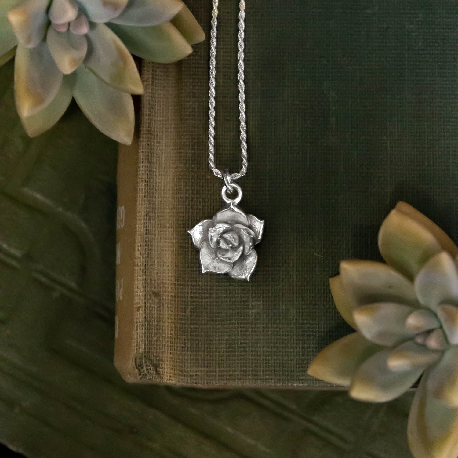 Colgante Suculenta fractal Grande