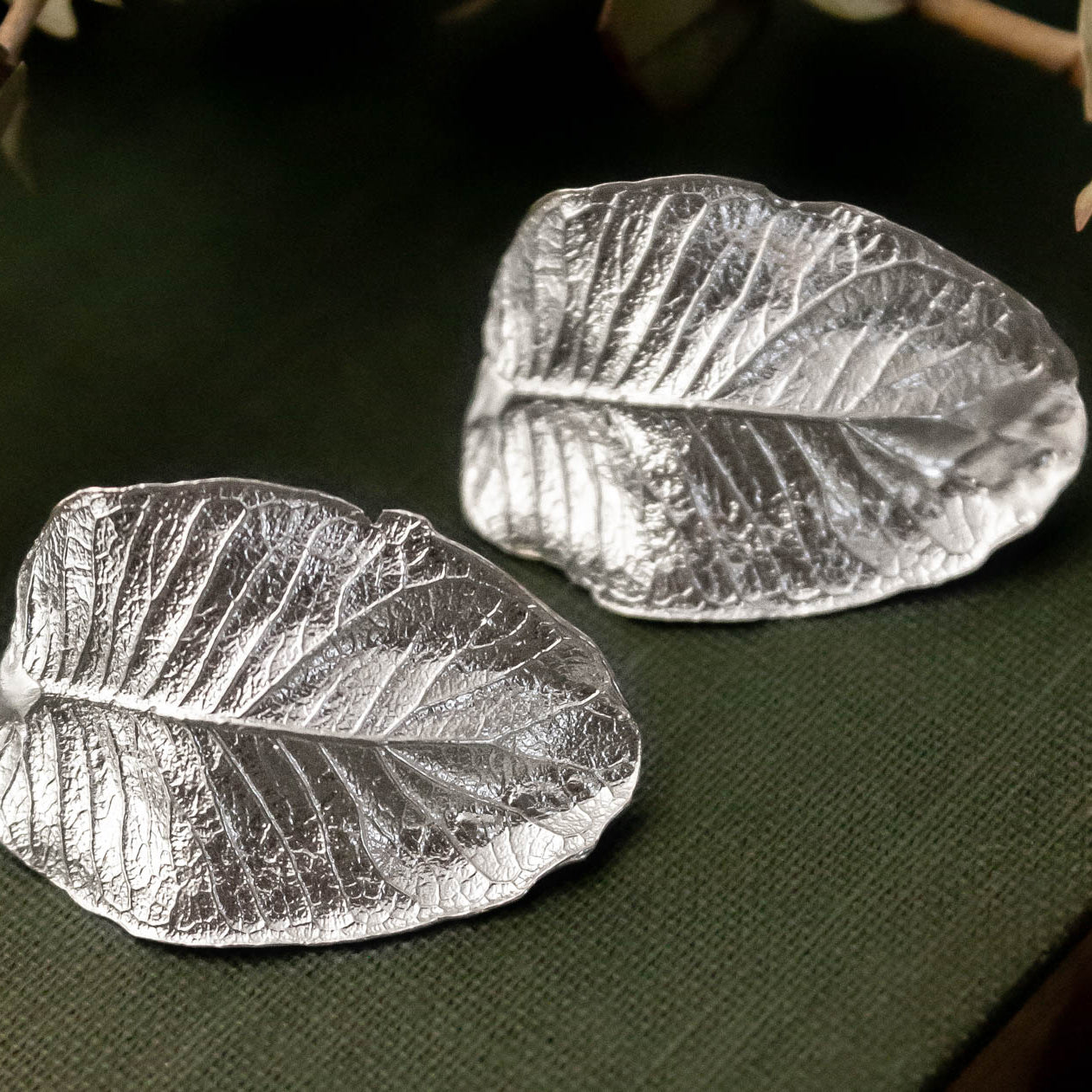 Aros hoja de Ulmo grandes