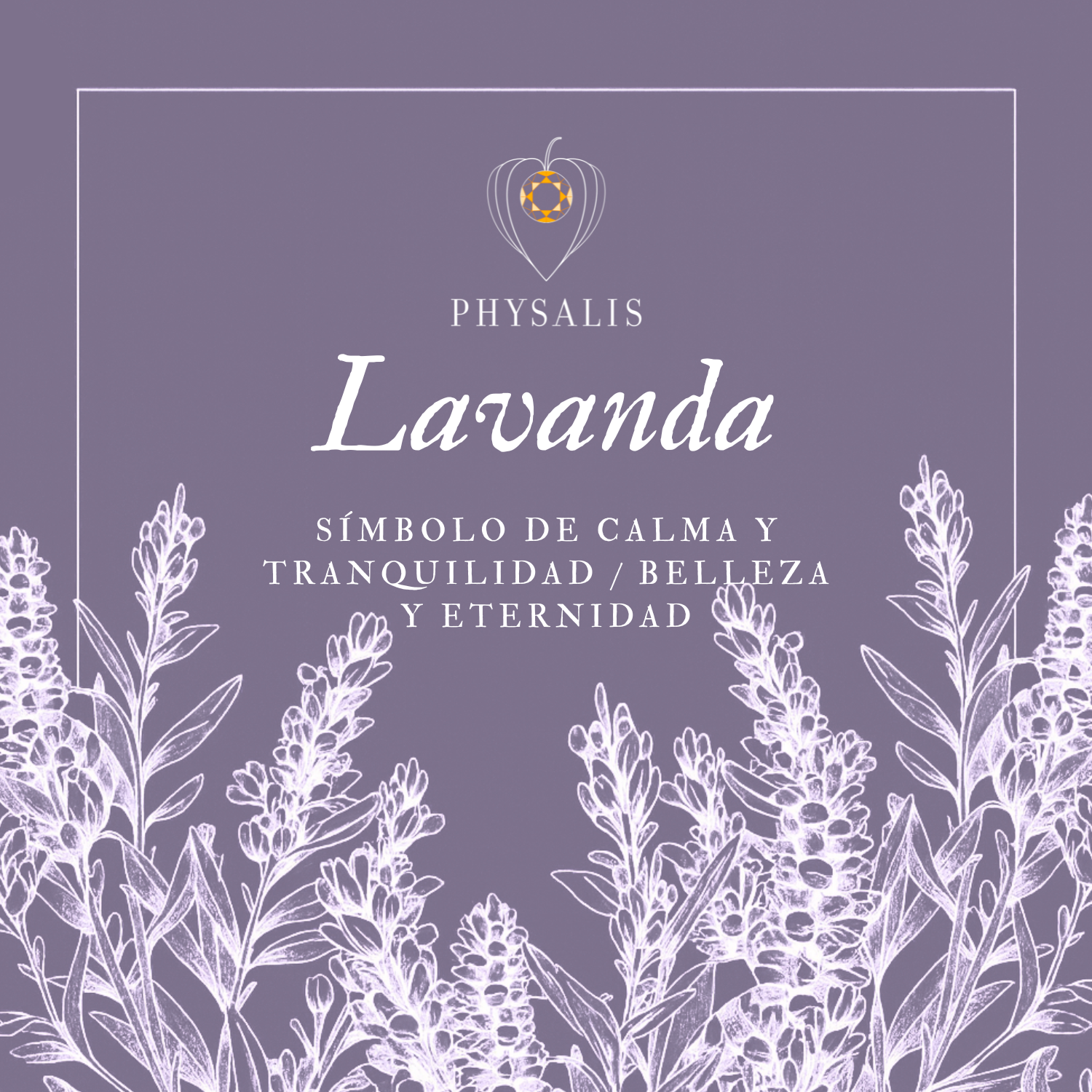 Medallita Lavanda Dorada