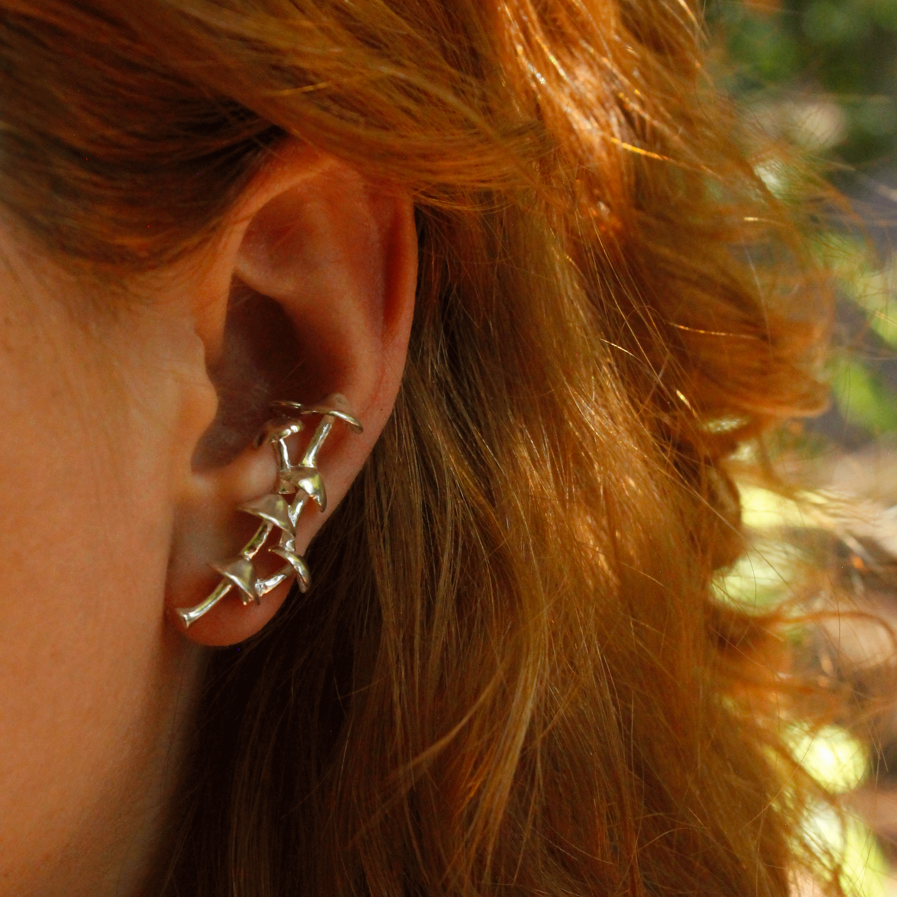 Trepador de honguitos