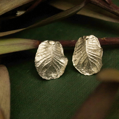 Aros hoja de Ulmo sinuosa Plata