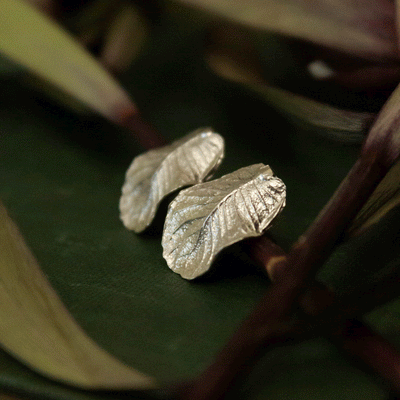 Aros hoja de Ulmo sinuosa Plata