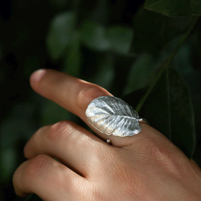 Anillo hoja de Ulmo