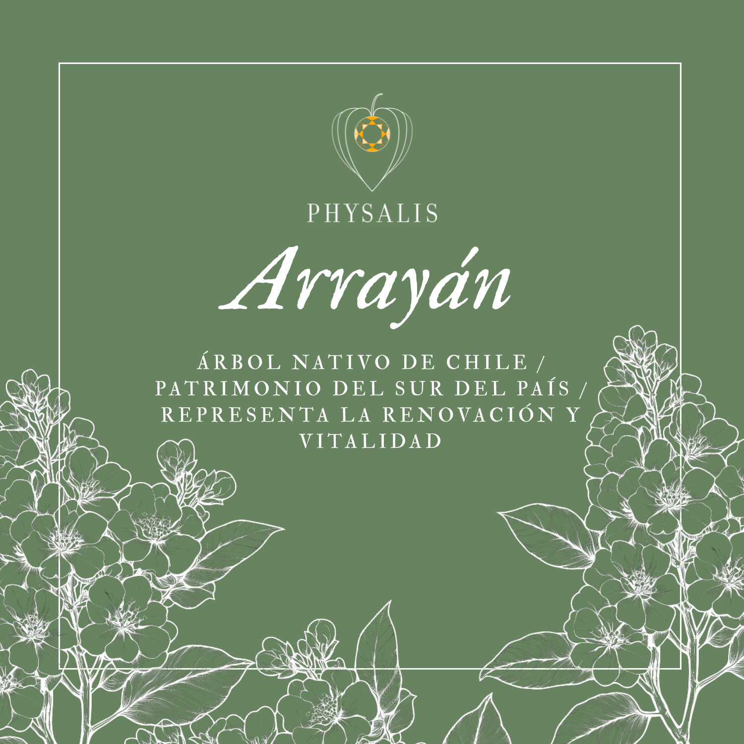 Medallita Arrayán